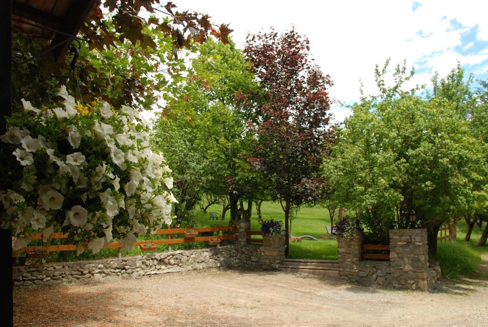 Garden, View (from property/room), Garden view