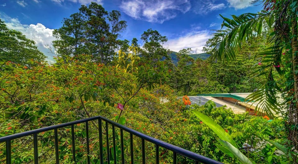 Balcony/Terrace, Garden view, Landmark view, Mountain view