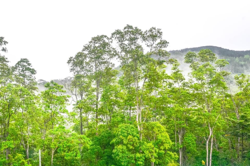 Natural landscape, Landmark view, Mountain view