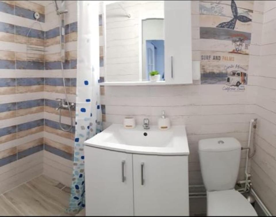 SAVAS STUDIO BRASOV Apartment in Brasov