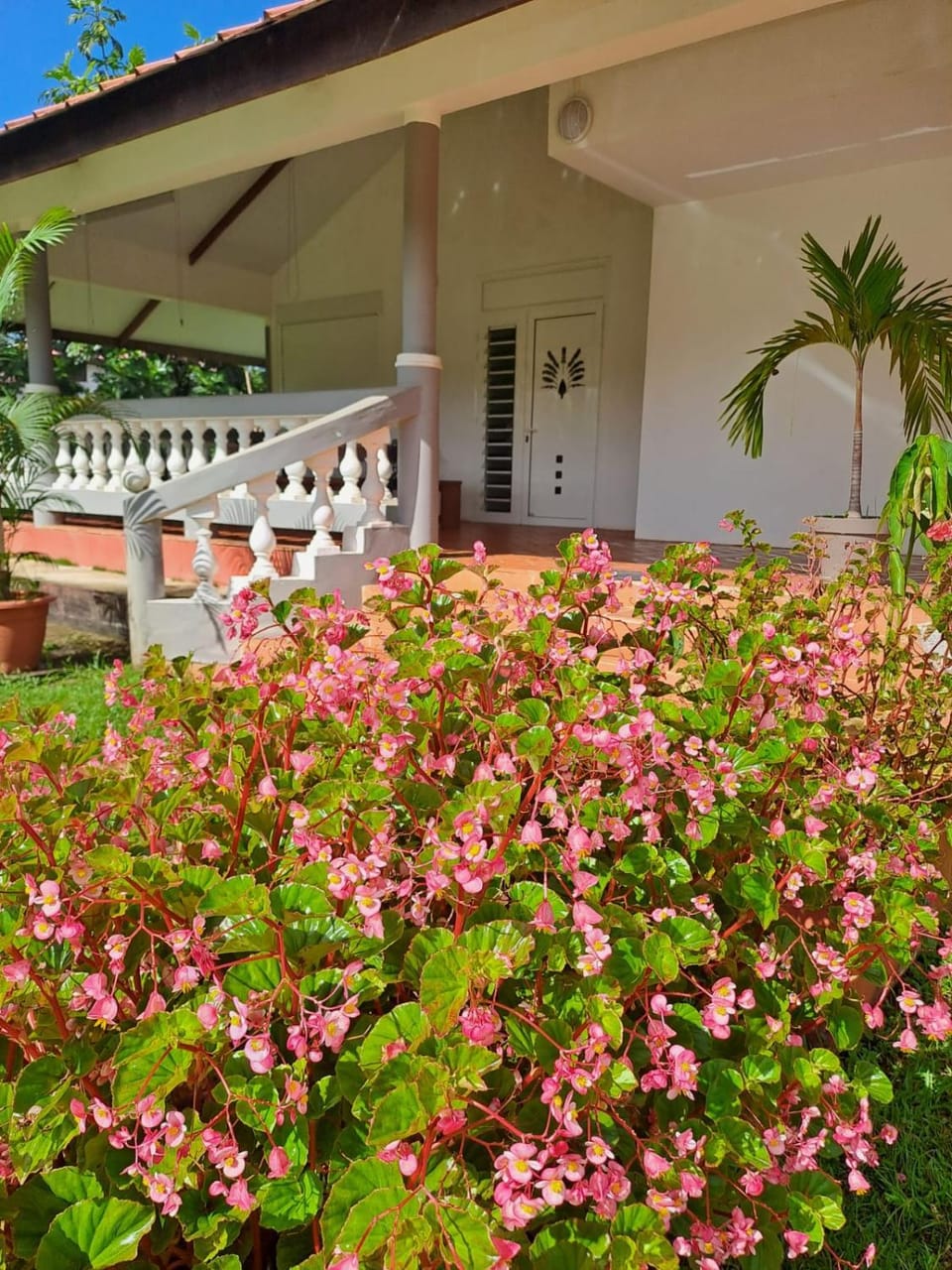 Logement F2 de 100 m carré House in Arrondissement of Cayenne, French Guiana