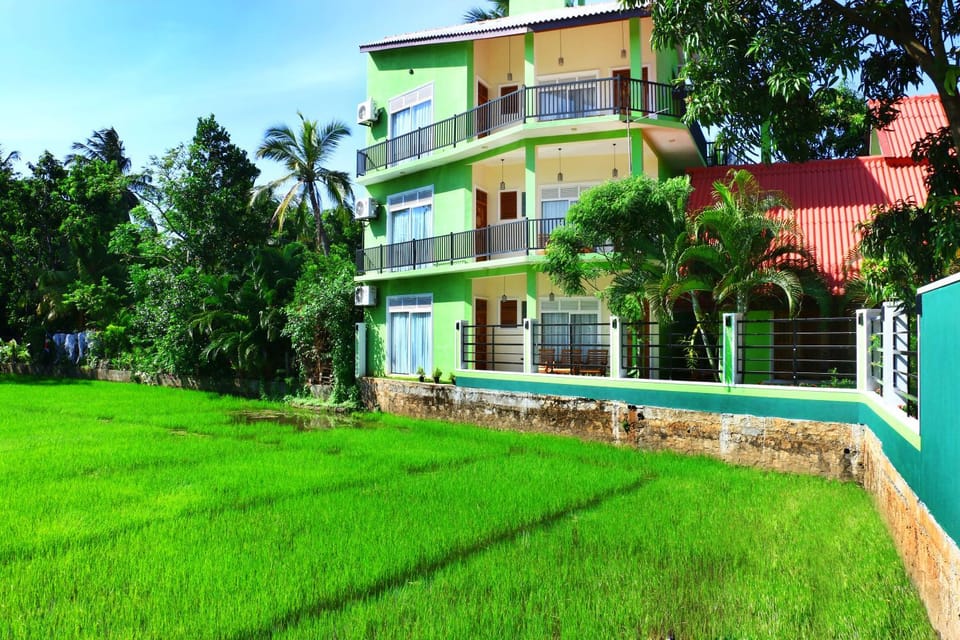 Day, Garden view