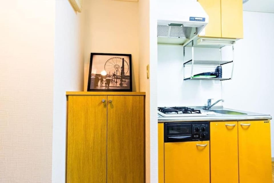 Kitchen or kitchenette, stove, kitchen