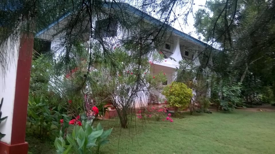 Property building, Garden view