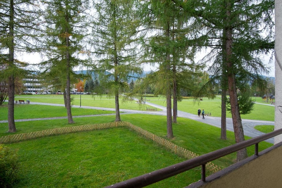 Spring, Day, Neighbourhood, Natural landscape, Garden, View (from property/room), Garden view