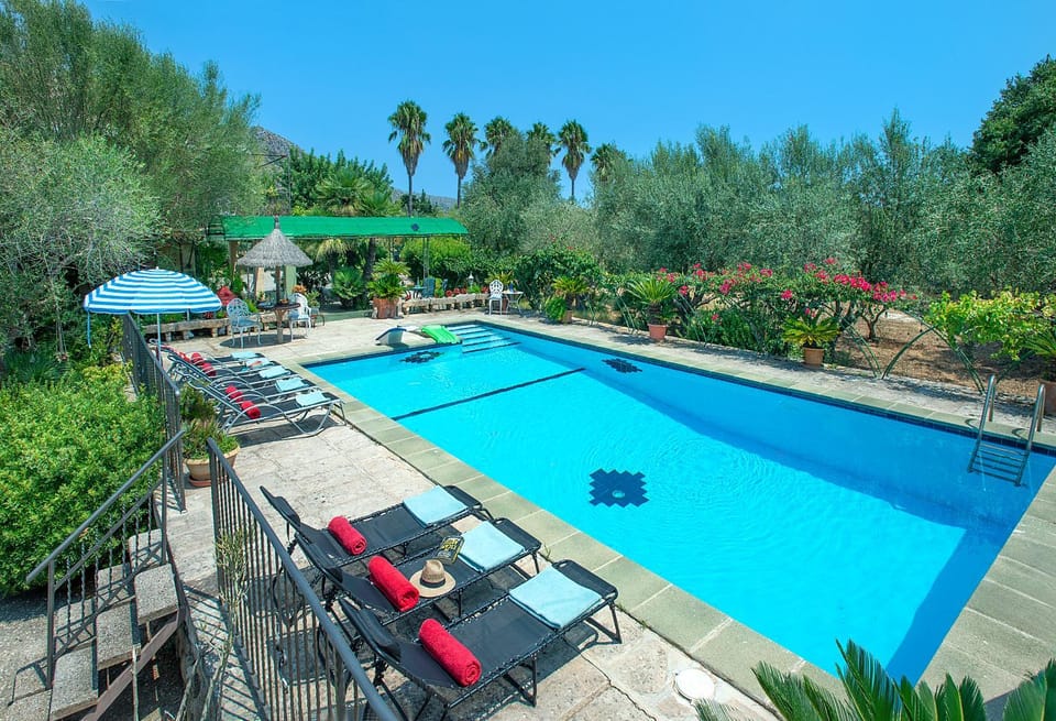 Garden, Garden view, Pool view, Swimming pool, sunbed