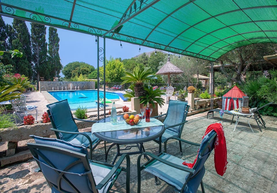 Patio, Garden, Garden view, Swimming pool, sunbed