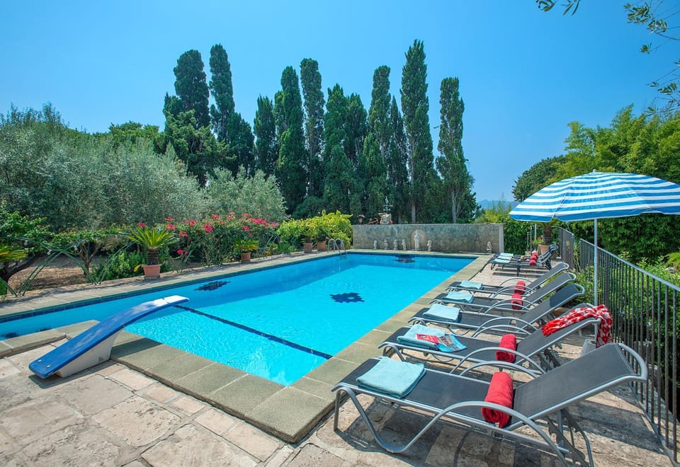 Garden, Garden view, Pool view, Swimming pool, sunbed