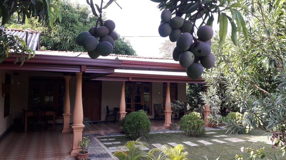 Property building, Garden