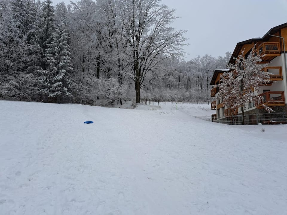 Day, Natural landscape, Winter