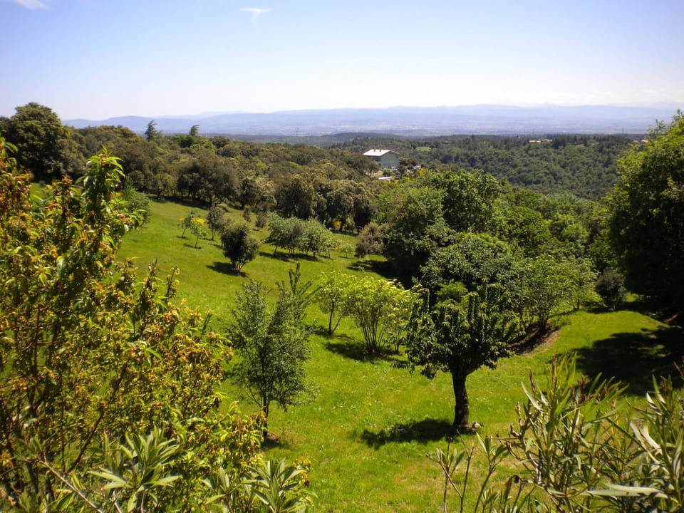 Landmark view, Area and facilities