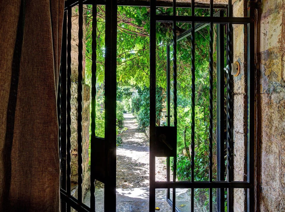 Garden view