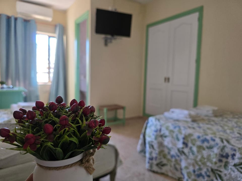 Bed, TV and multimedia, Photo of the whole room, Bedroom, towels