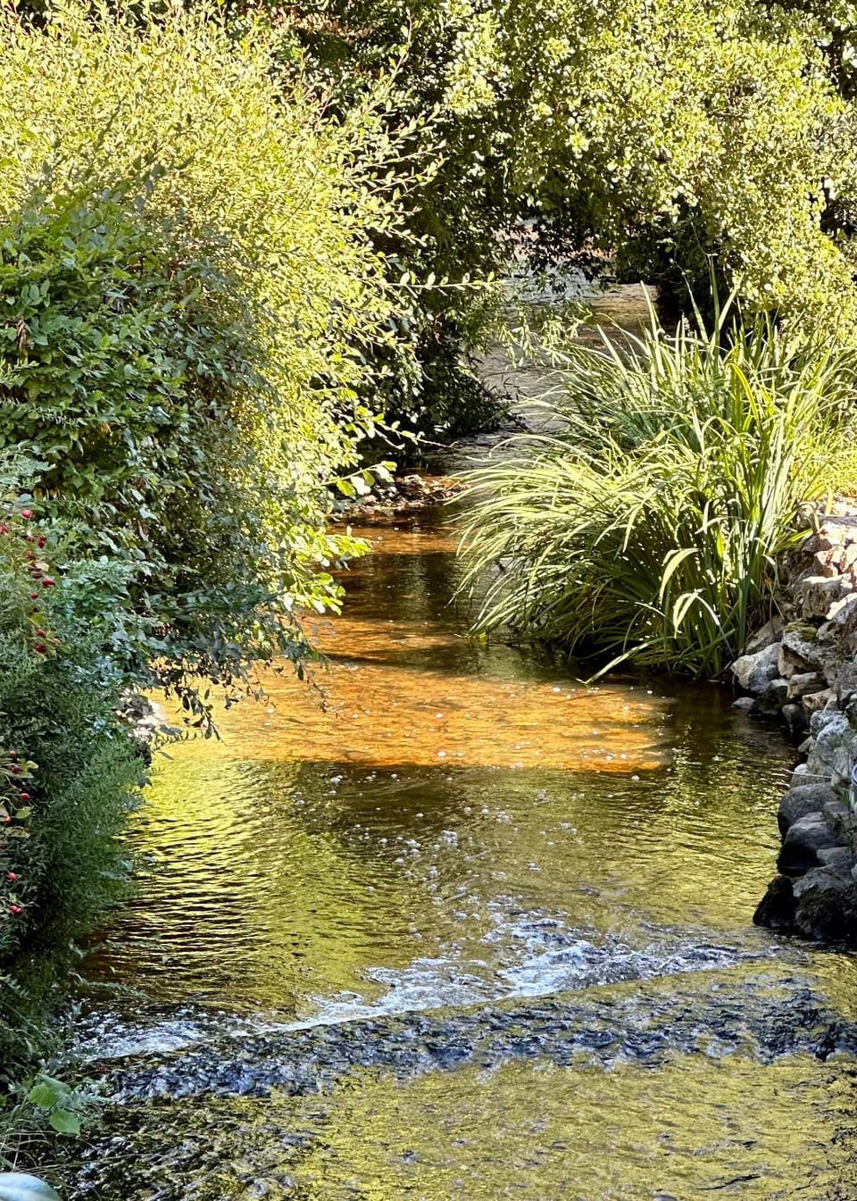 River view