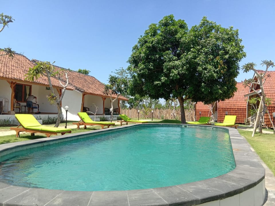 Swimming pool, Swimming pool
