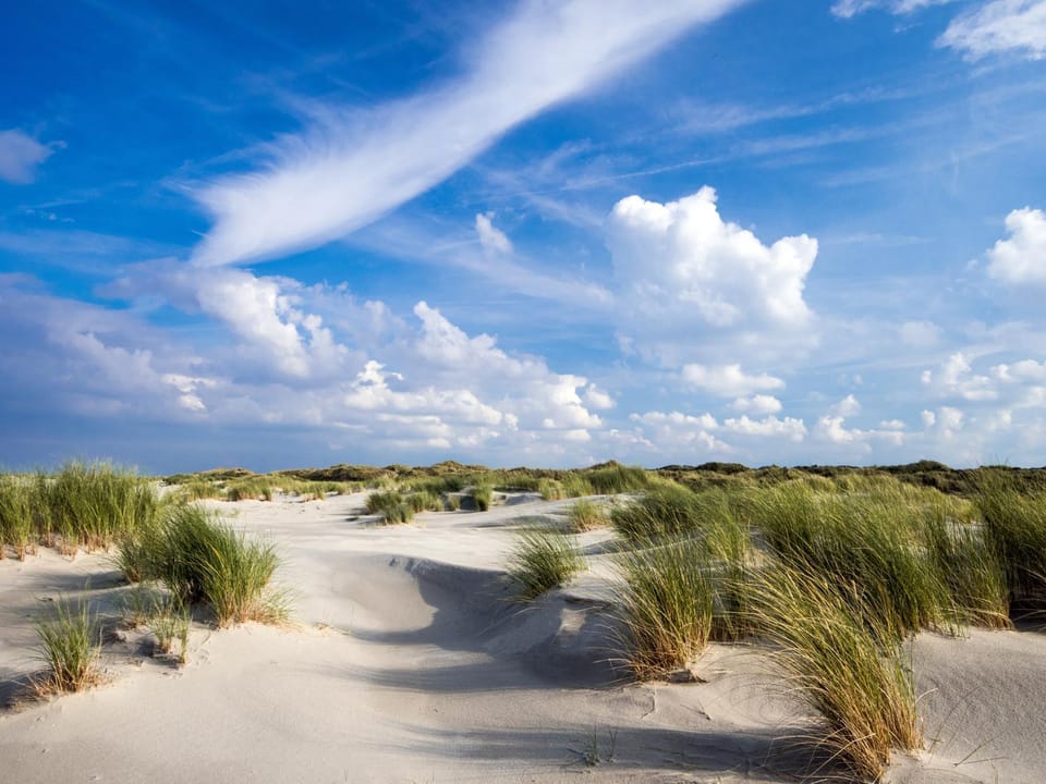 Dünentraum, Ferienwohnung für 4 Personen - Erwachsene oder Kinder - in DE FEERJENHUSEN am Haubarg von Vollerwiek, Fertigstellung April 2020 Apartment in Nordfriesland
