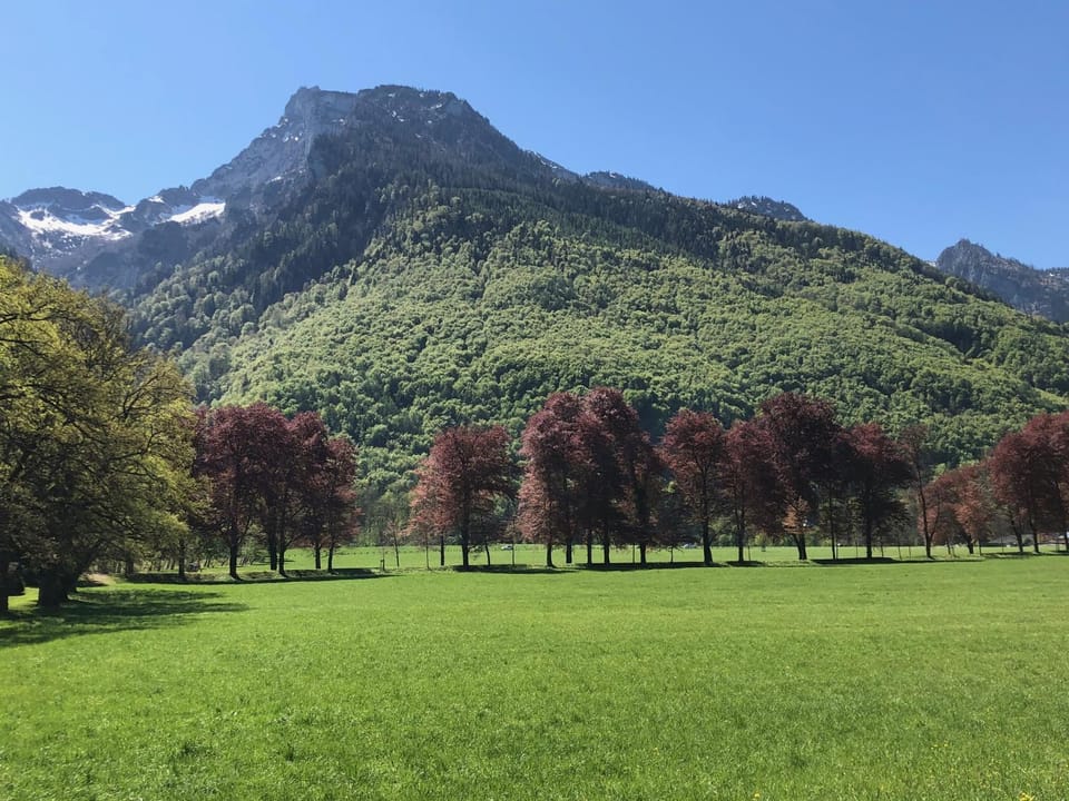 Natural landscape, Mountain view