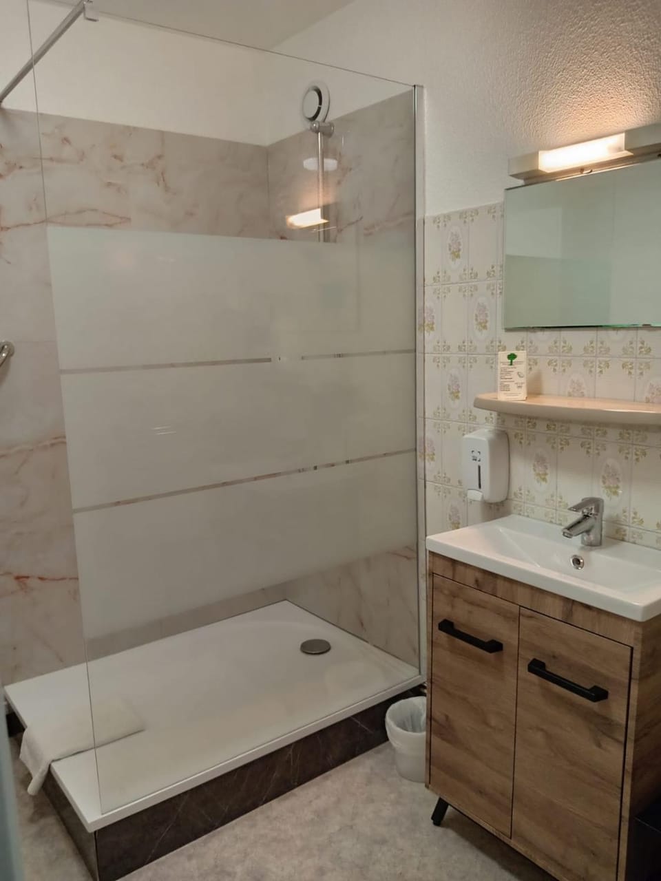 Hôtel Le Lyon Vert Commentry Hotel in Auvergne-Rhône-Alpes