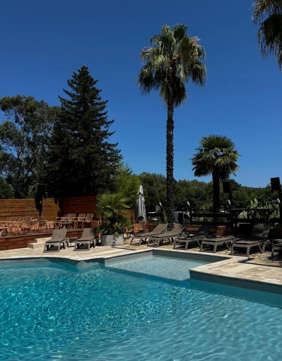 Day, Swimming pool, sunbed