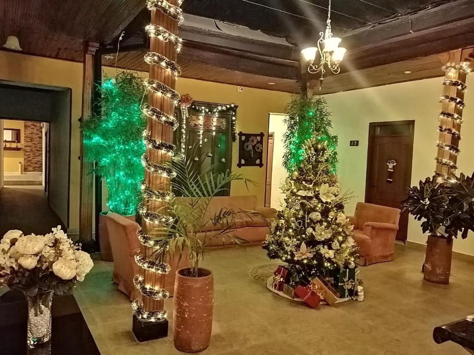 Patio, Area and facilities