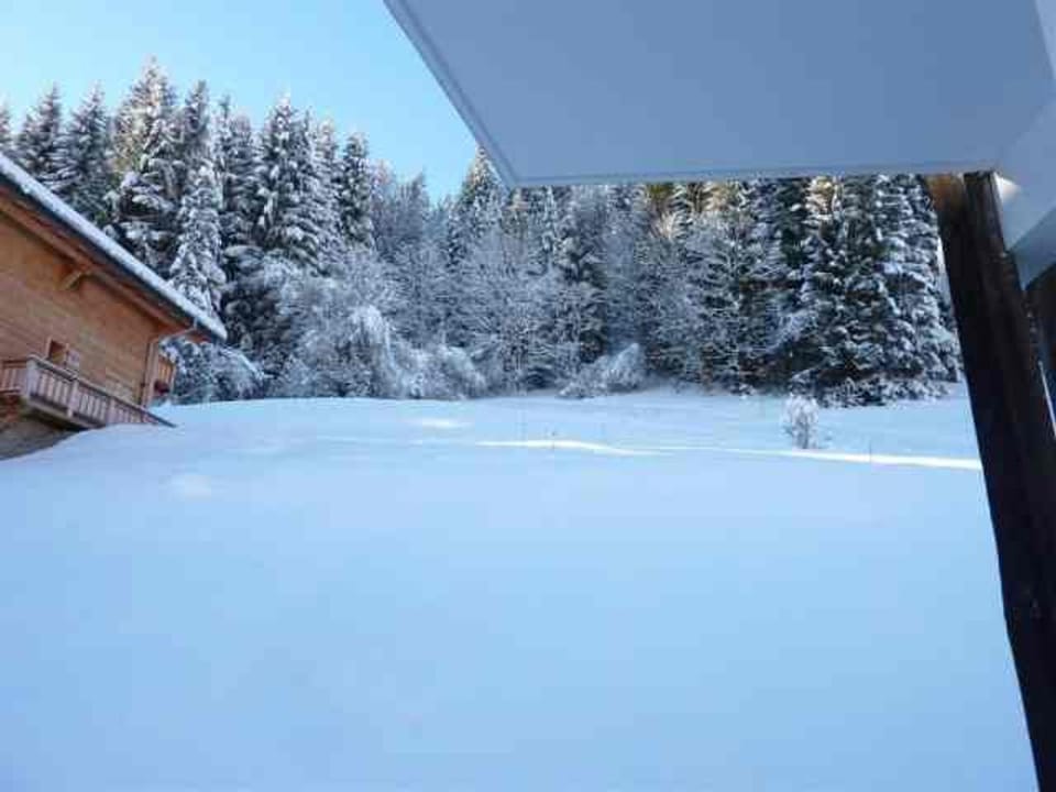 Appartement 3 pièces, Morzine, animaux admis, parking privé - FR-1-524-34 Apartment in Les Gets