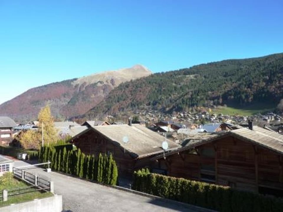 Appartement 6 pers. à Morzine avec casier à ski - FR-1-524-72 Apartment in Les Gets