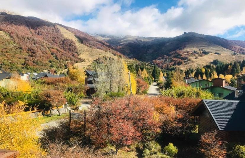 Neighbourhood, Autumn