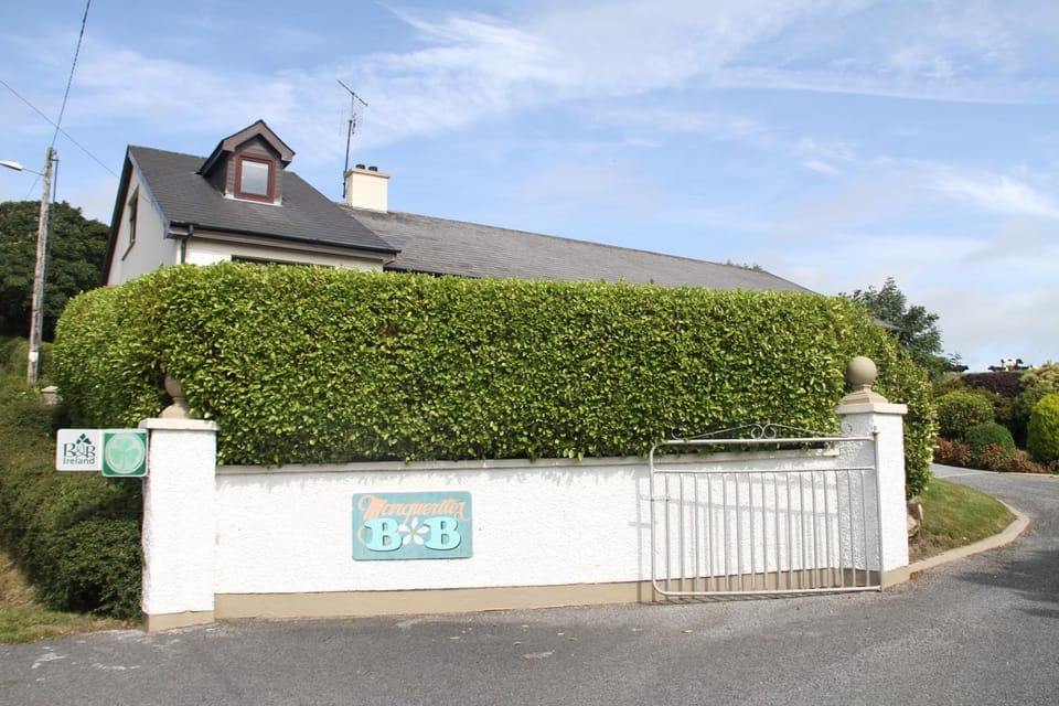 On site, Street view
