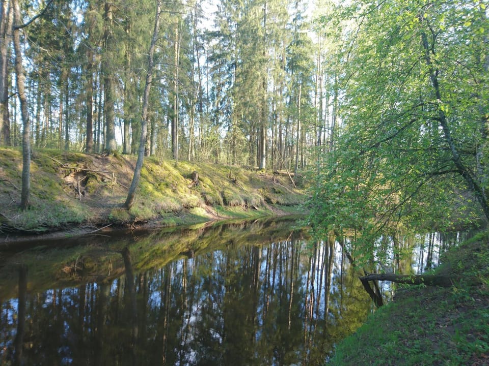 Natural landscape