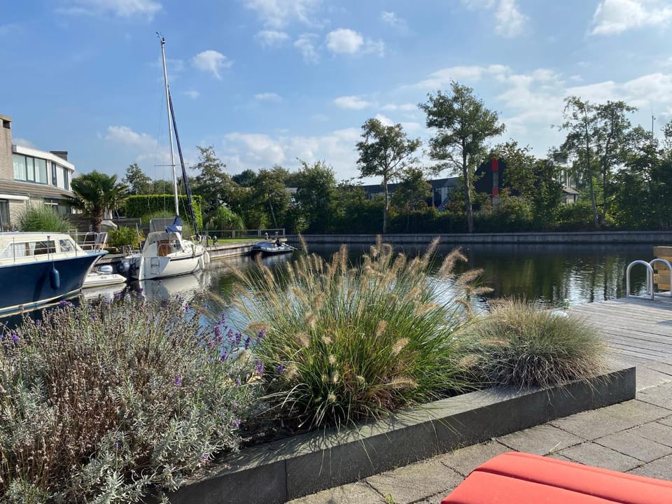 Lake view, River view