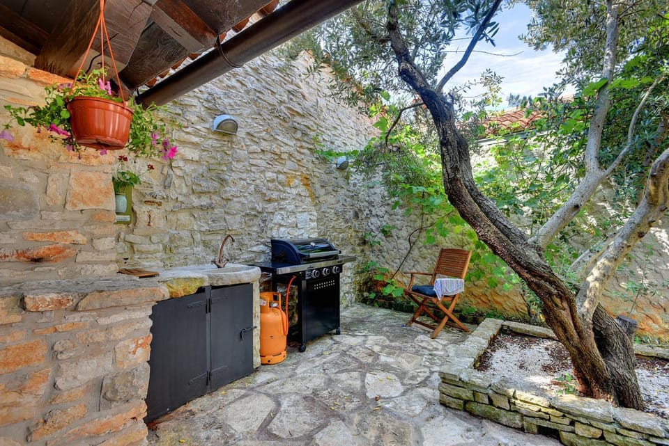 Villa Dani House in Istria County