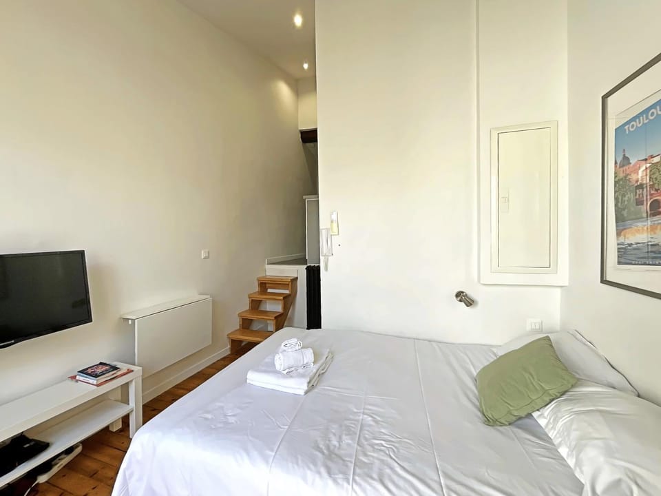 La Terrasse de Wilson Apartment in Toulouse