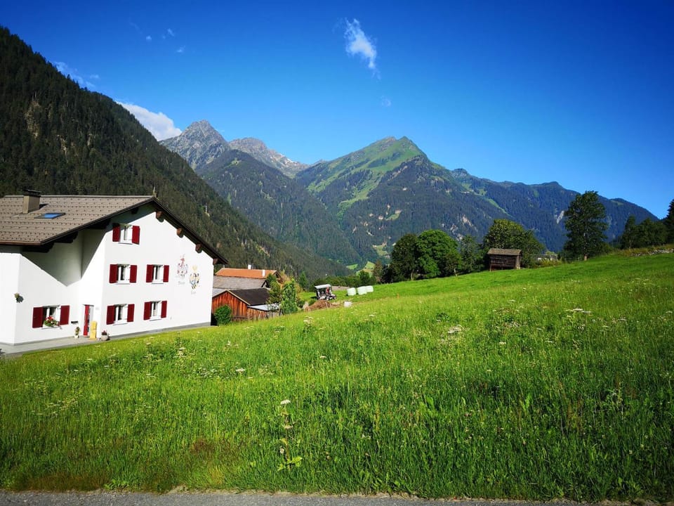 Natural landscape, Summer