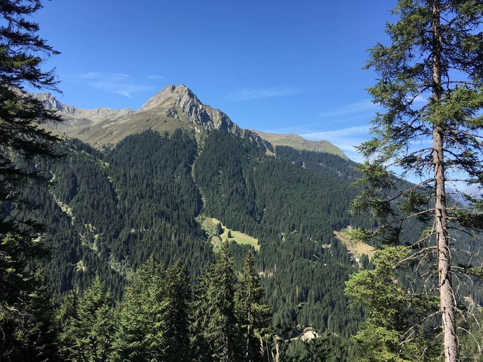 Mountain view