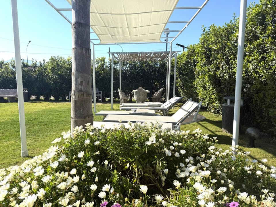 Dining area, Garden view, Pool view, Swimming pool, sunbed