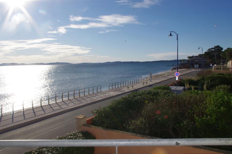 View (from property/room), Balcony/Terrace, Area and facilities