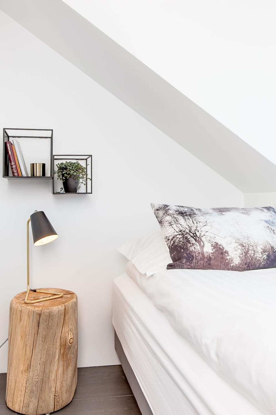 Bed, Library, Photo of the whole room, Bedroom