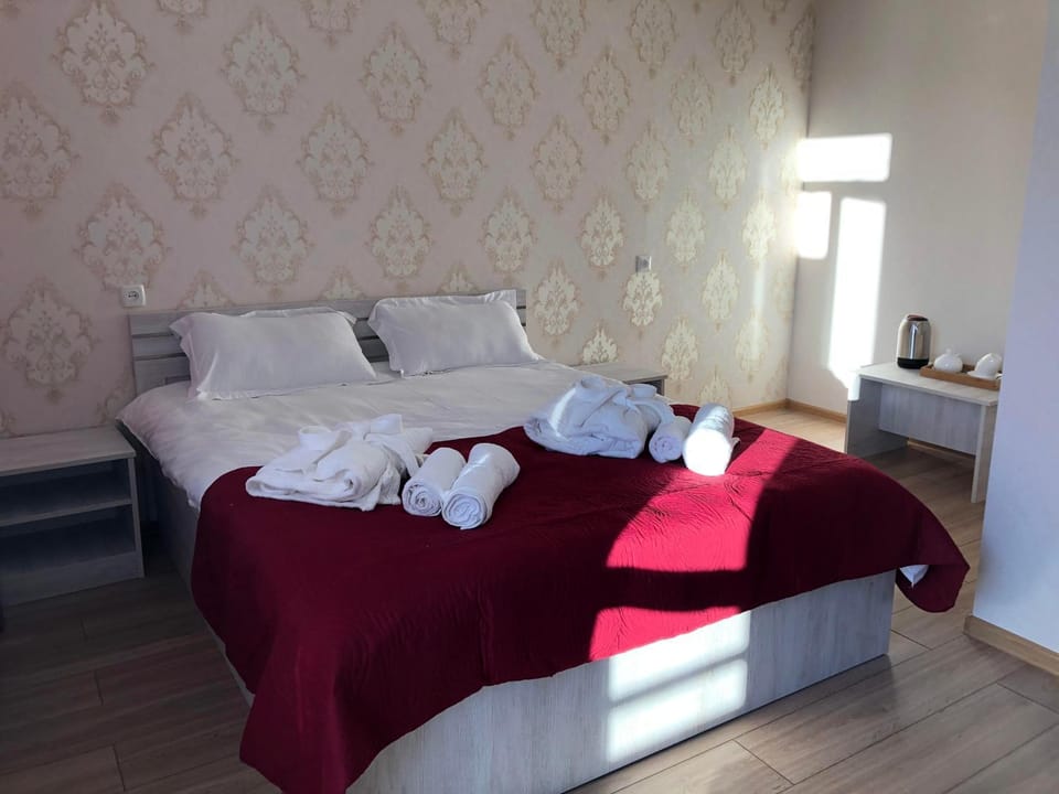Wander Kazbegi Hotel Hotel in Georgia