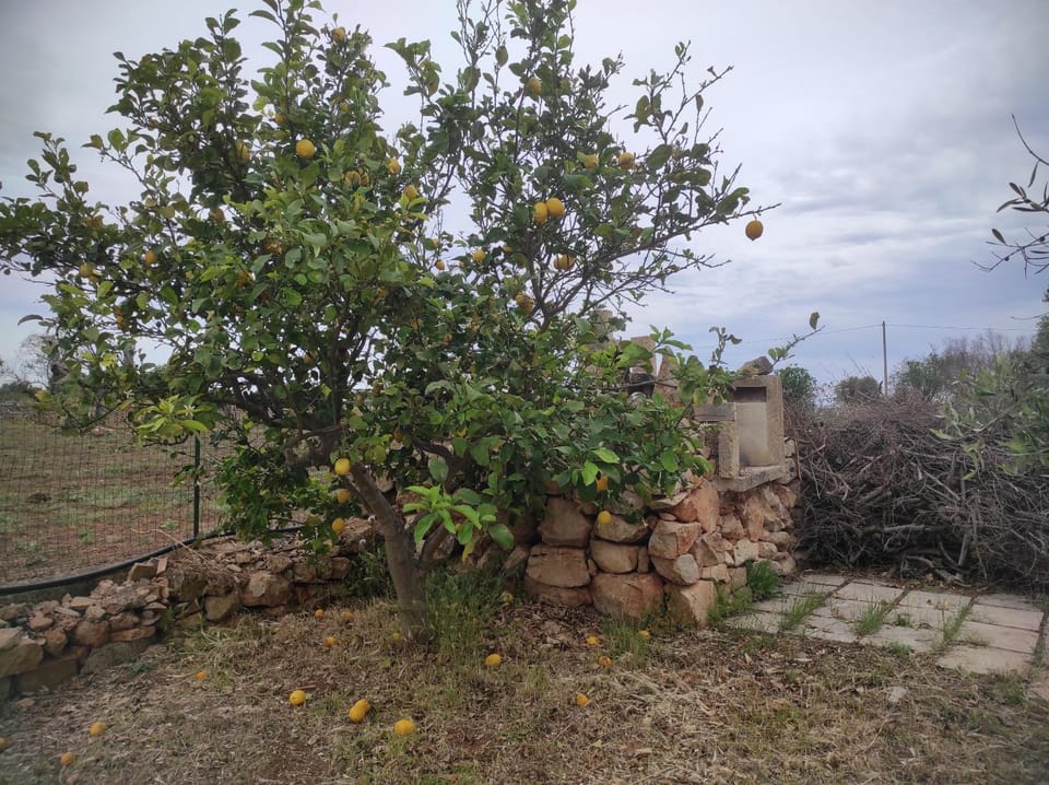 Trullo Contrada Specchi Apartment in Apulia