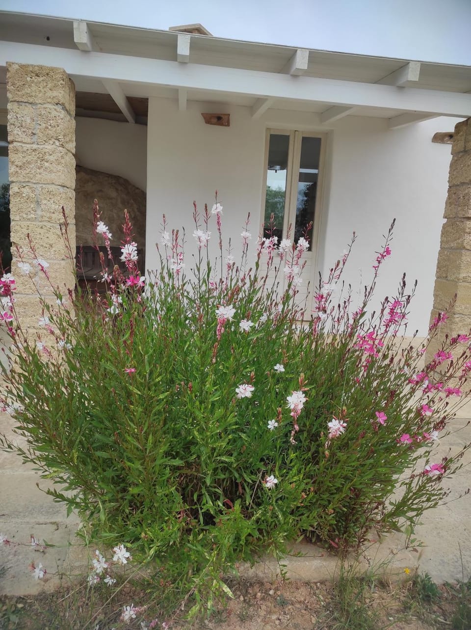 Trullo Contrada Specchi Apartment in Apulia