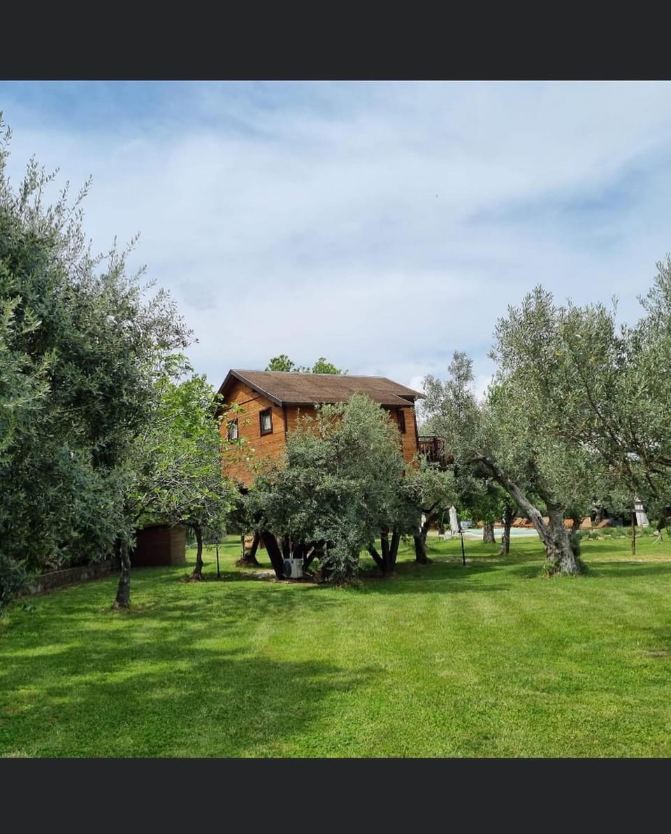 Palazzo Conforti Tree House Resort Bed and Breakfast in Calabria