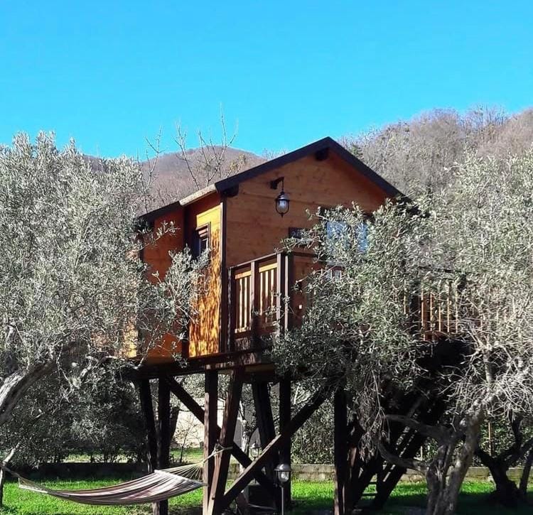 Palazzo Conforti Tree House Resort Bed and Breakfast in Calabria