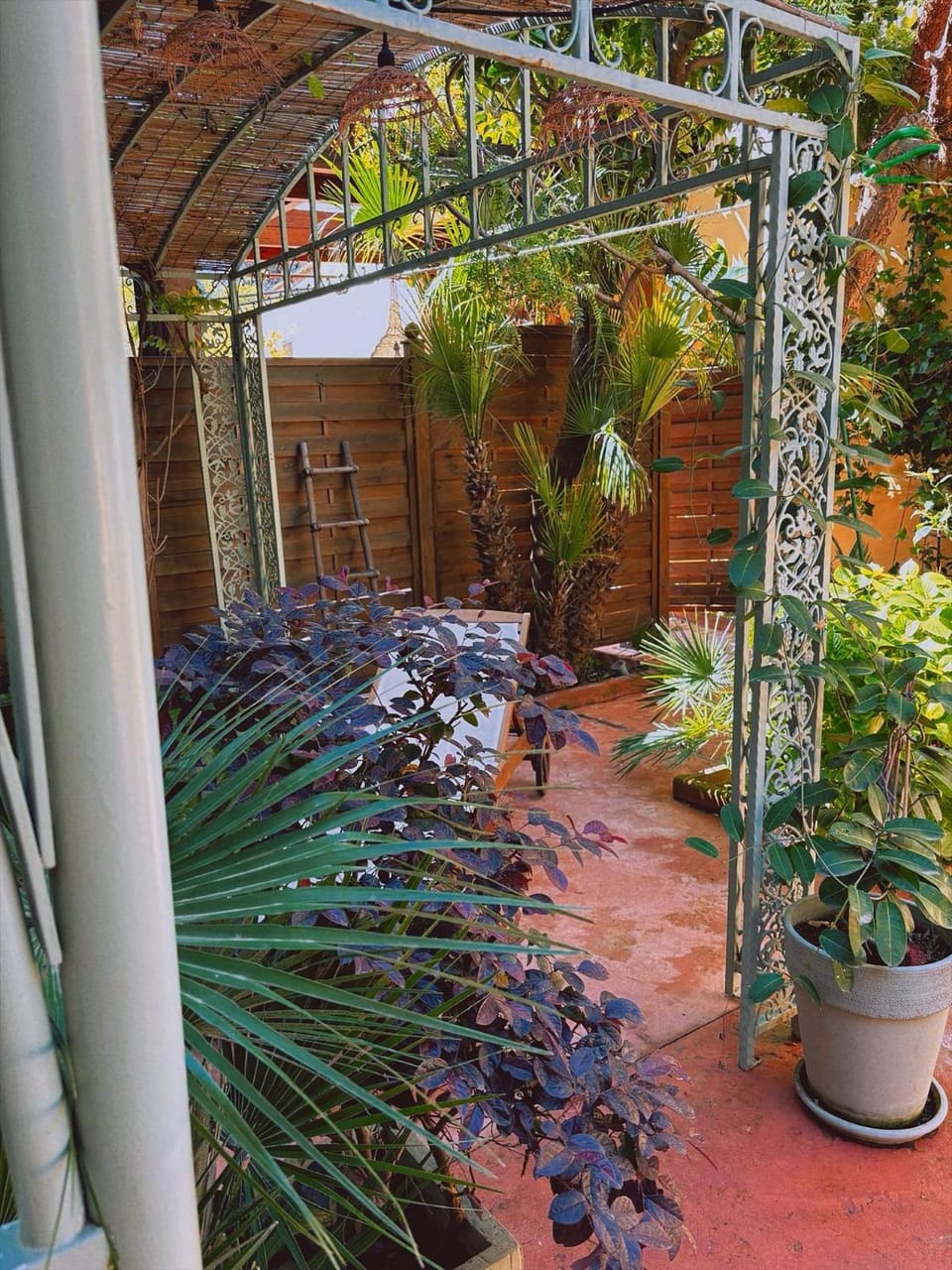 Siwa Home Experience Apartment in Anzio