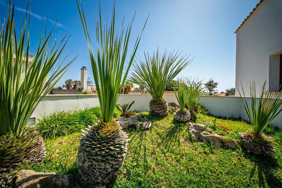 Villa Elen Apartment in Marsala