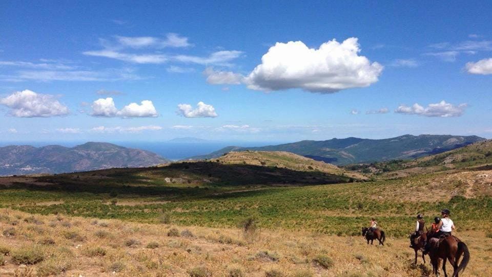 Natural landscape, Horse-riding