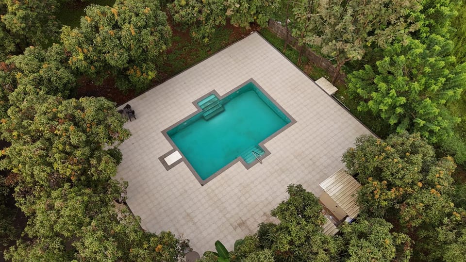 Pool view, Swimming pool