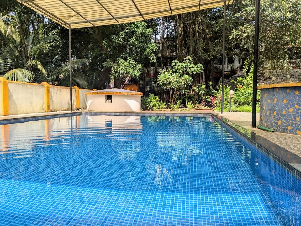 Swimming pool, Swimming pool