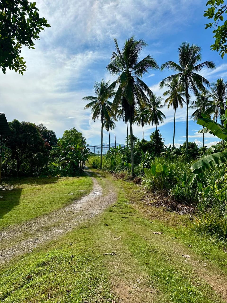 Day, Natural landscape
