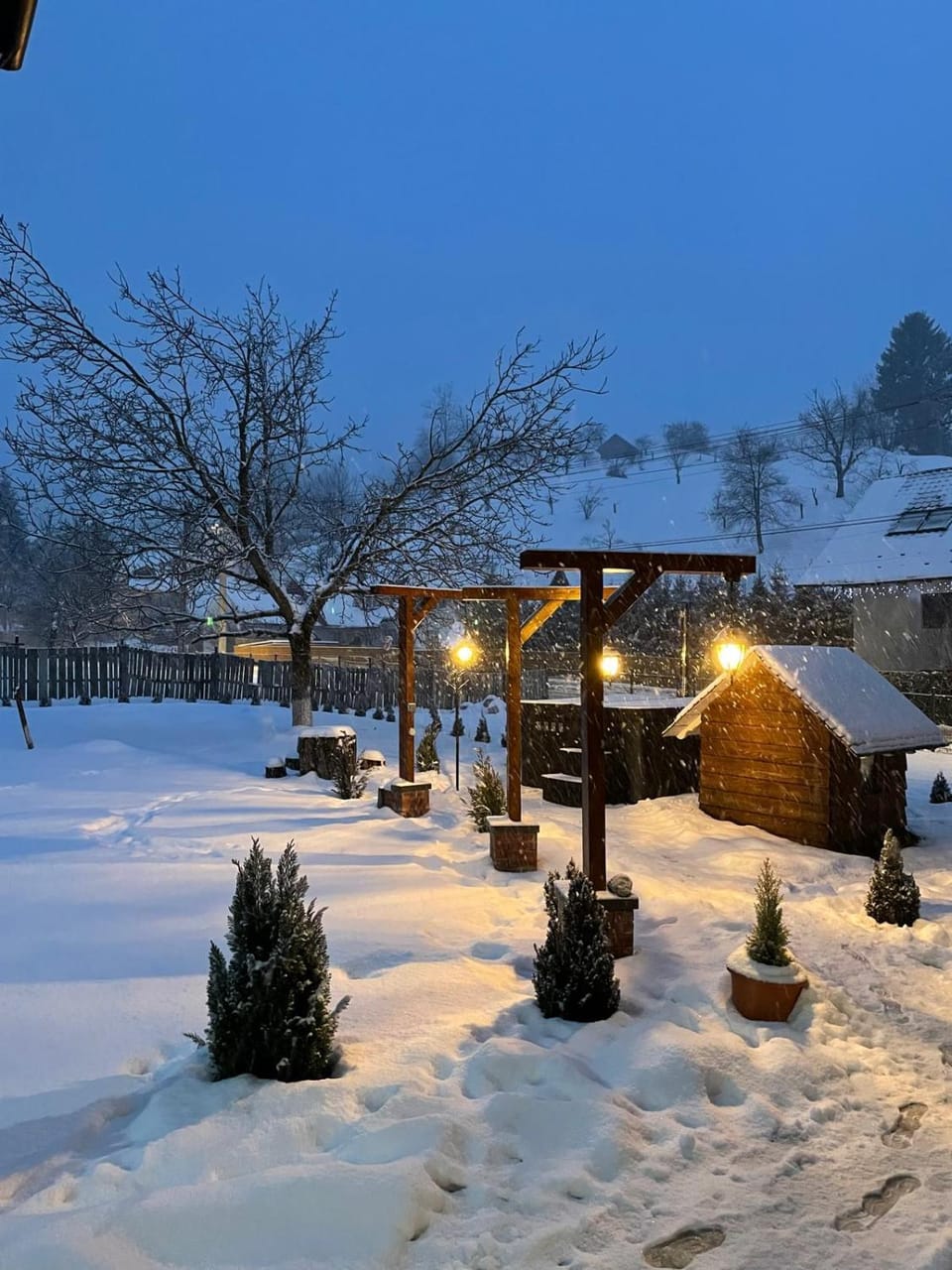 Natural landscape, Activities, Winter