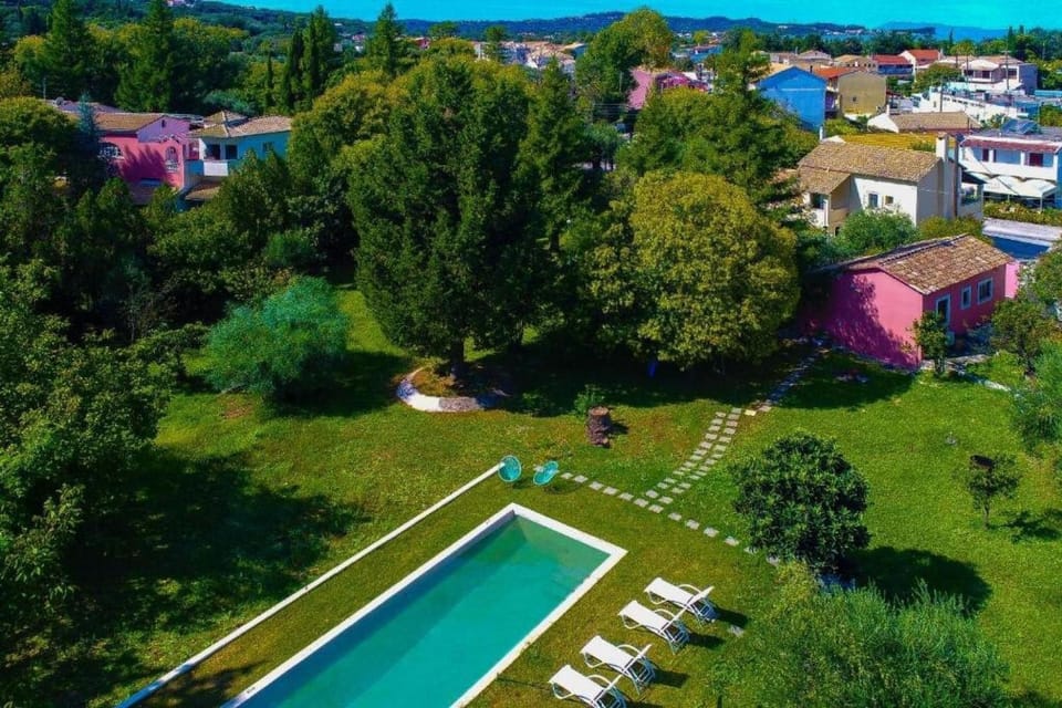 Day, Bird's eye view, Garden, Swimming pool, Swimming pool